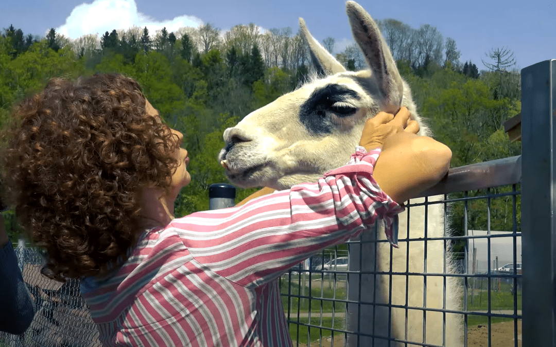 Video für Gnadenhof Argenhof mit Arndt Europadiscount